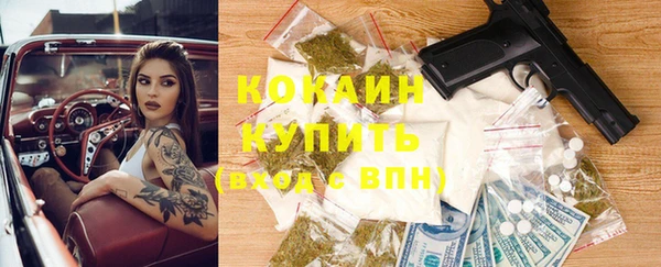 МДПВ Алзамай