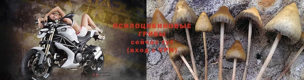 mdpv Абдулино